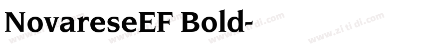 NovareseEF Bold字体转换